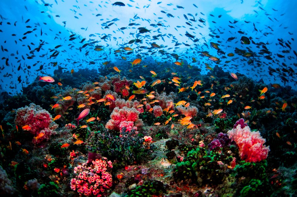 Photograph by nishijima takayuki