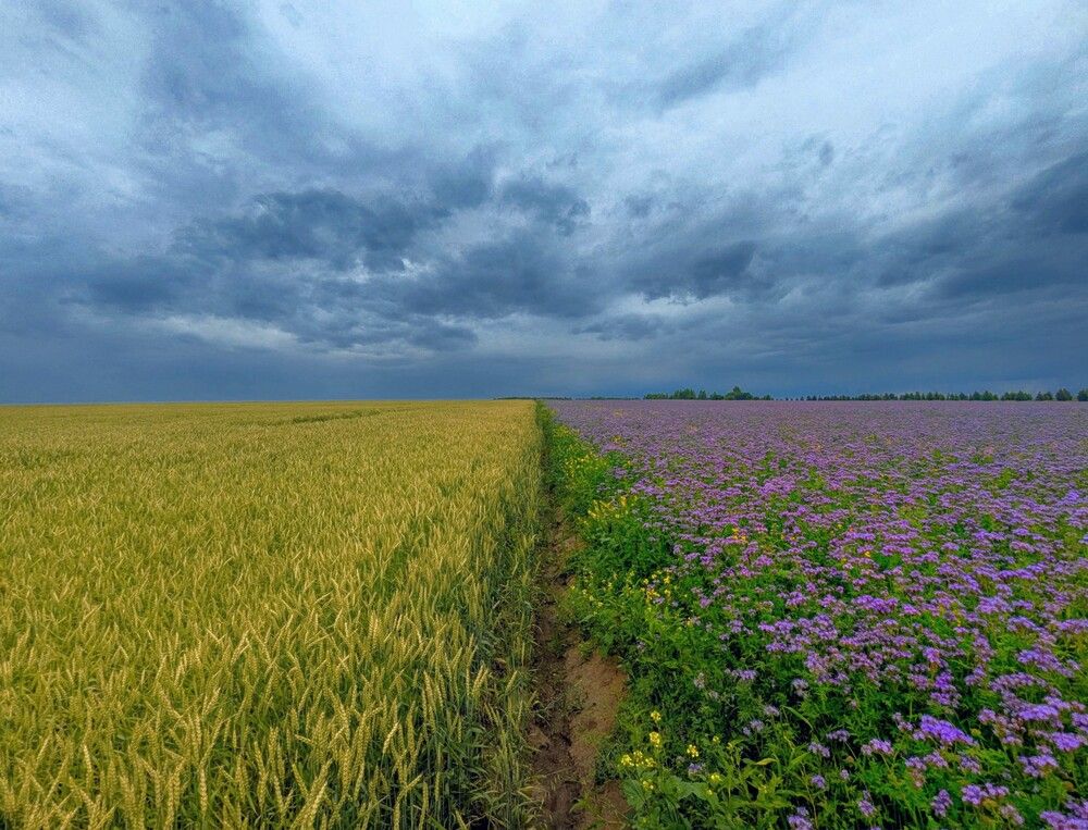 Photograph by Алексей Худяков