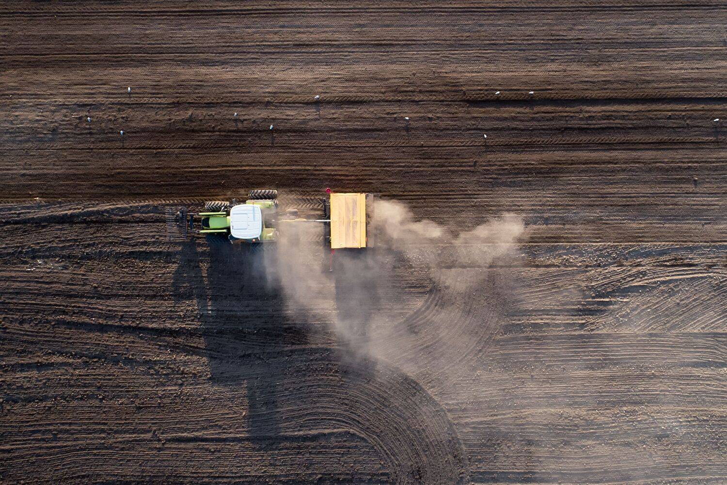 Straight from Above Straight from Above