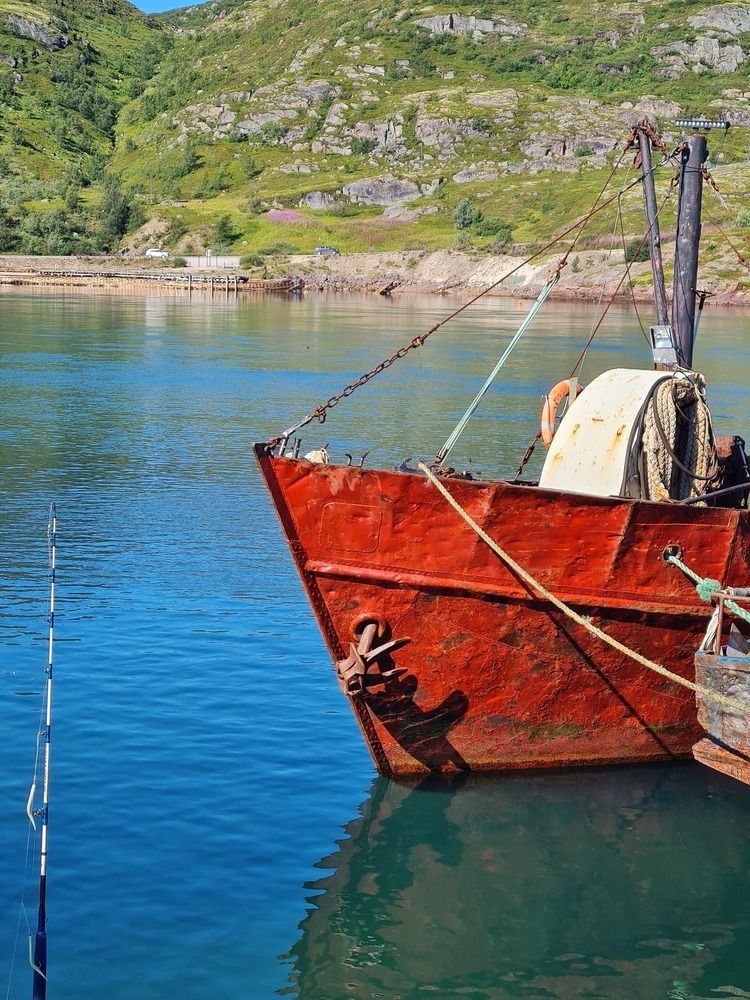 Photograph by Ирина Хлебникова