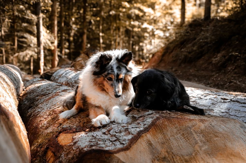 Photograph by Sarah Göhler