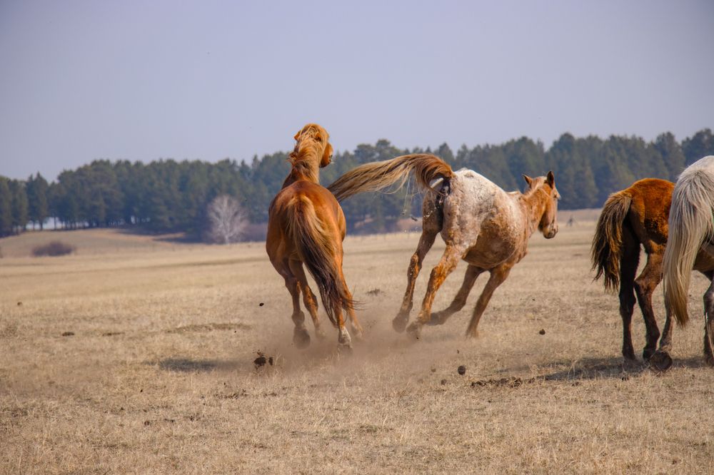 Photograph by - Баялигэ