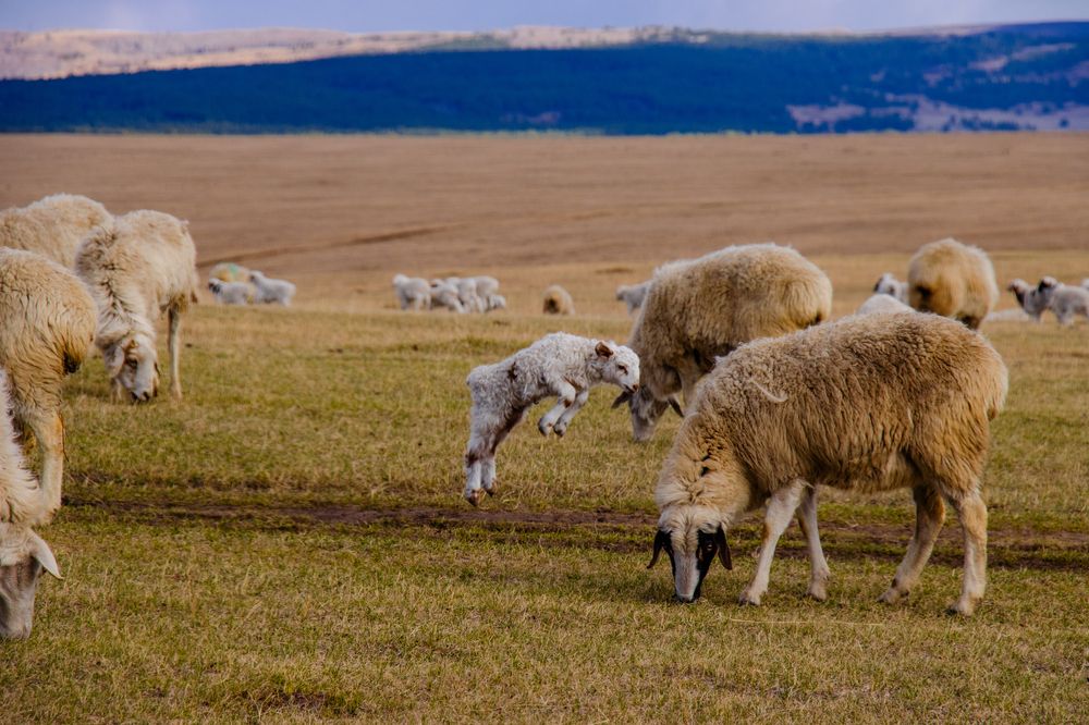 Photograph by - Баялигэ