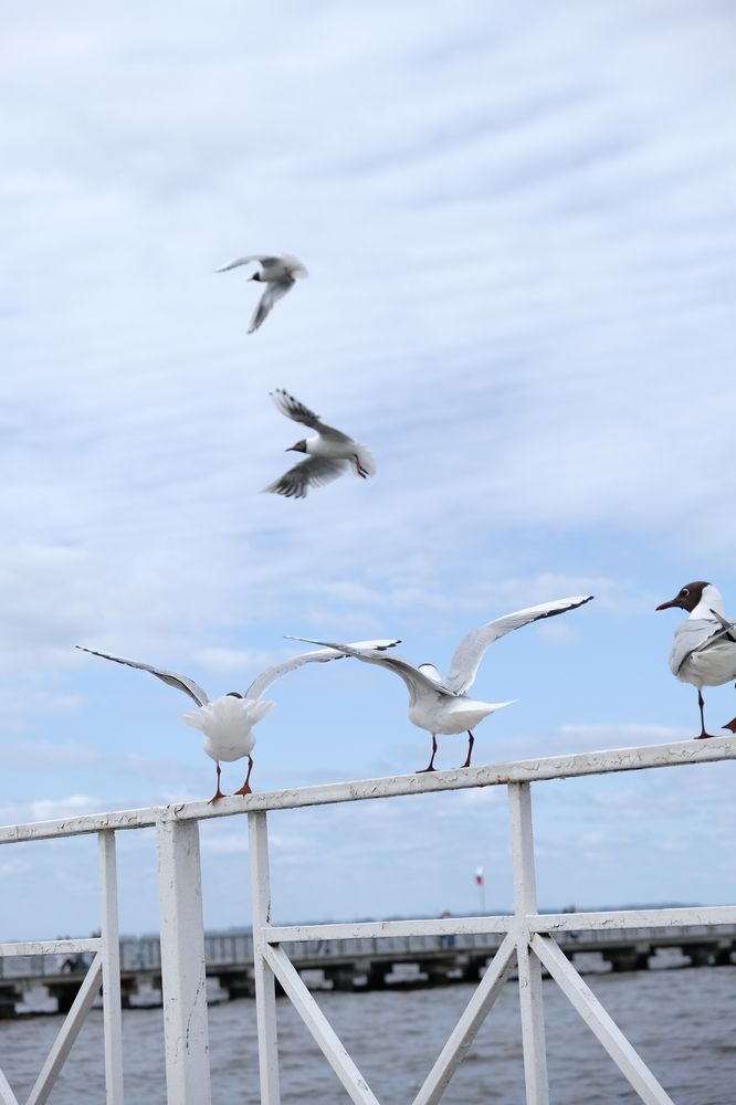 Фотография автора Александров Алексей
