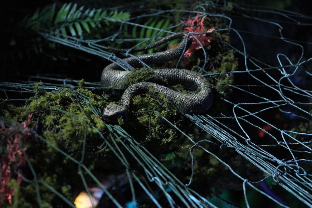 Фотография автора Александров Алексей