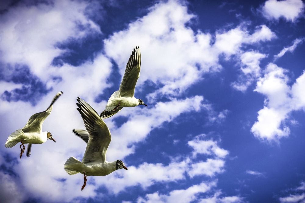 Фотография автора Михаил Лупина