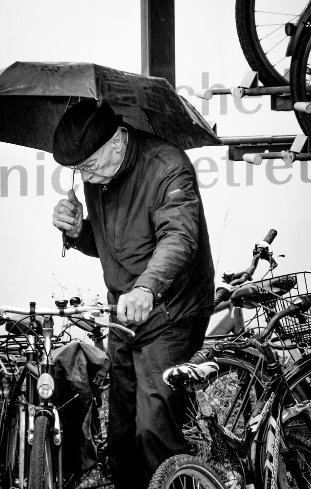 Rainy Day