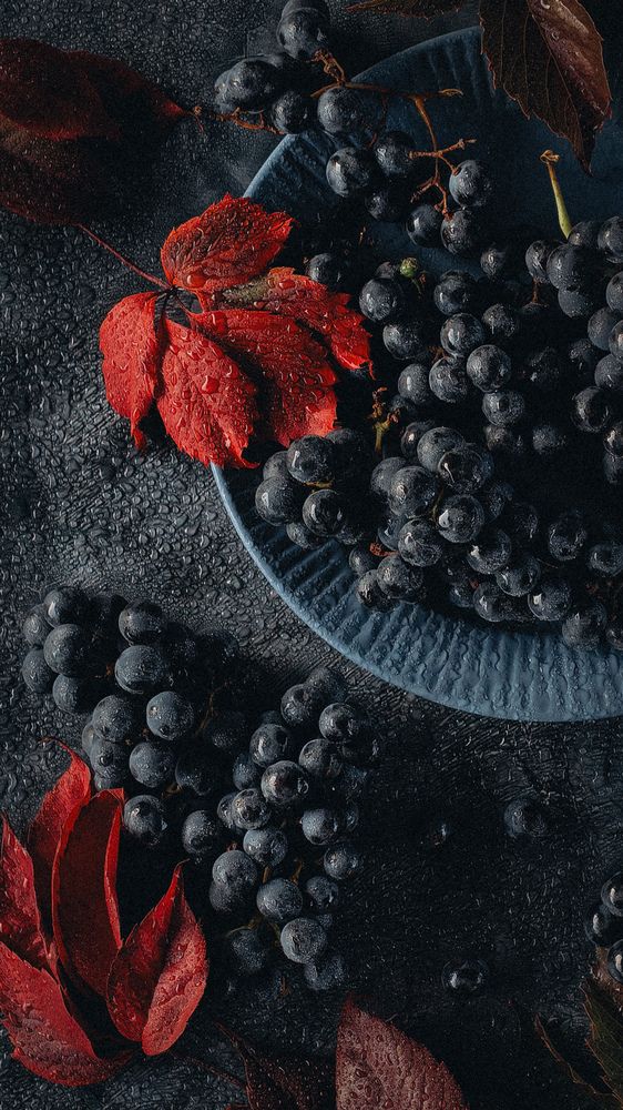 Photograph by Татьяна Котова