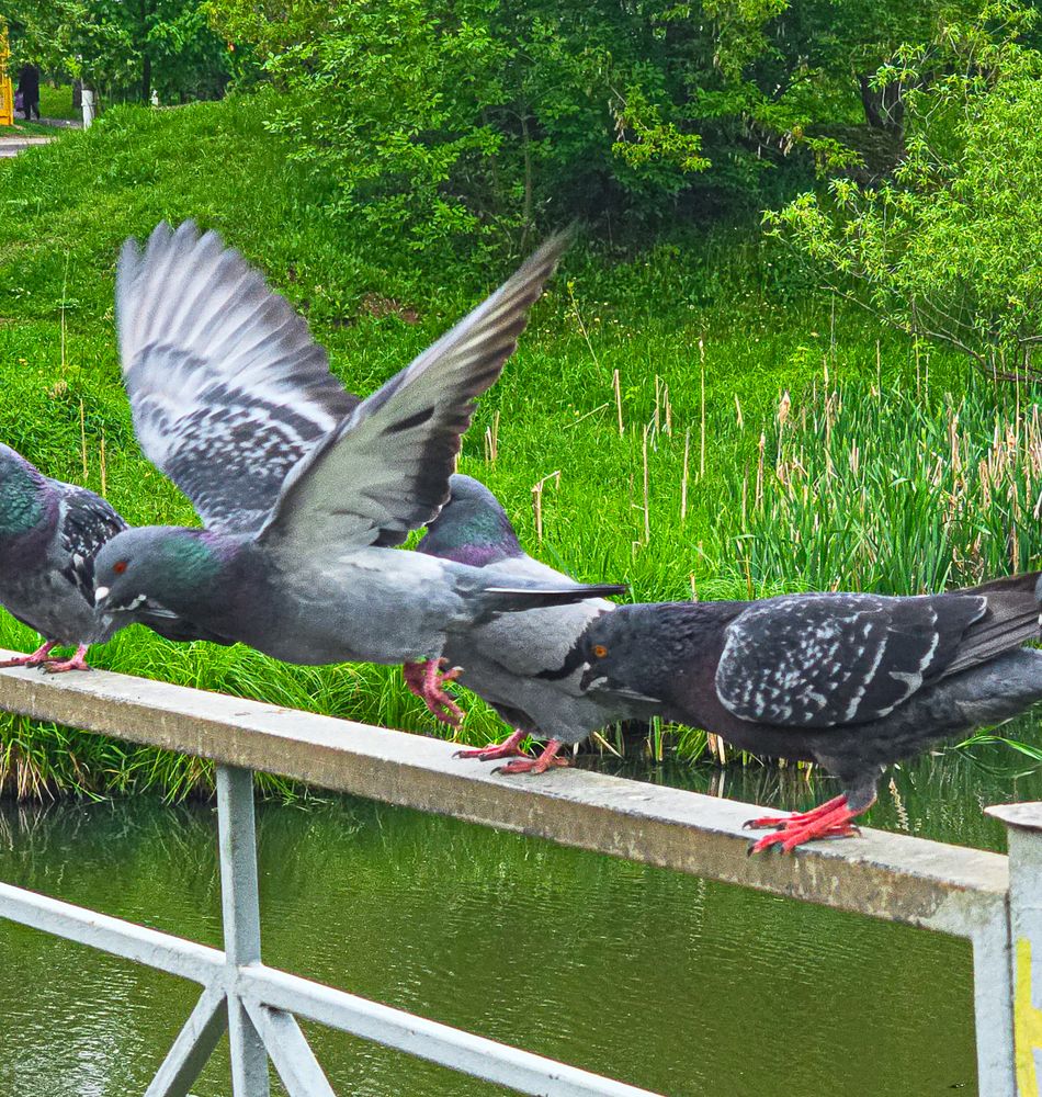 Фотография автора Нина Зинченко