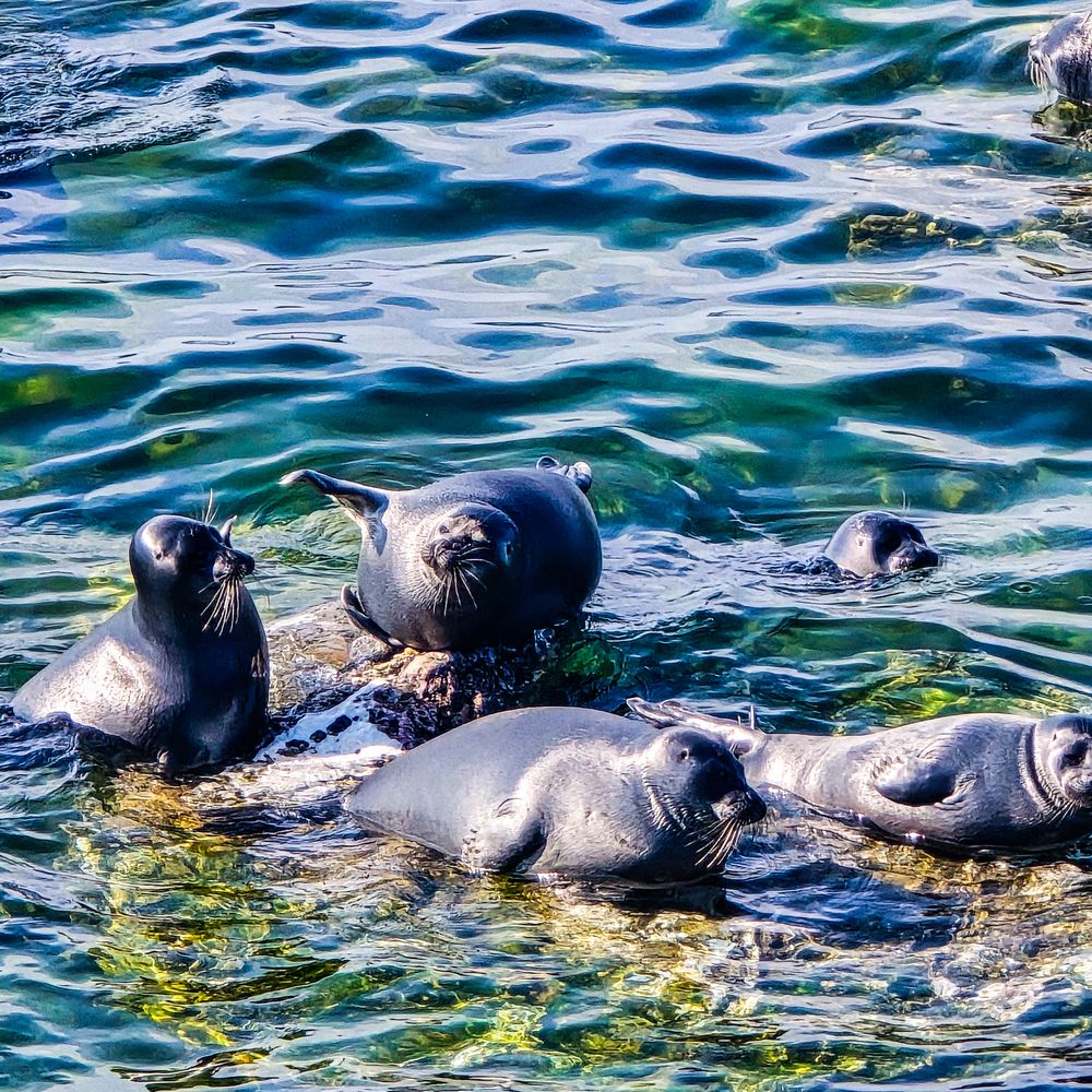 Фотография автора Нина Зинченко