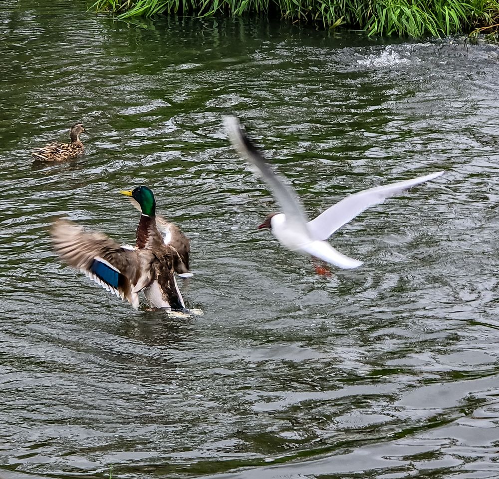 Фотография автора Нина Зинченко