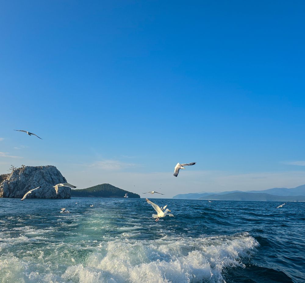 Фотография автора Нина Зинченко