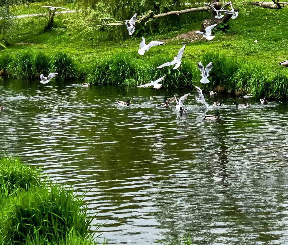 Фотография автора Нина Зинченко