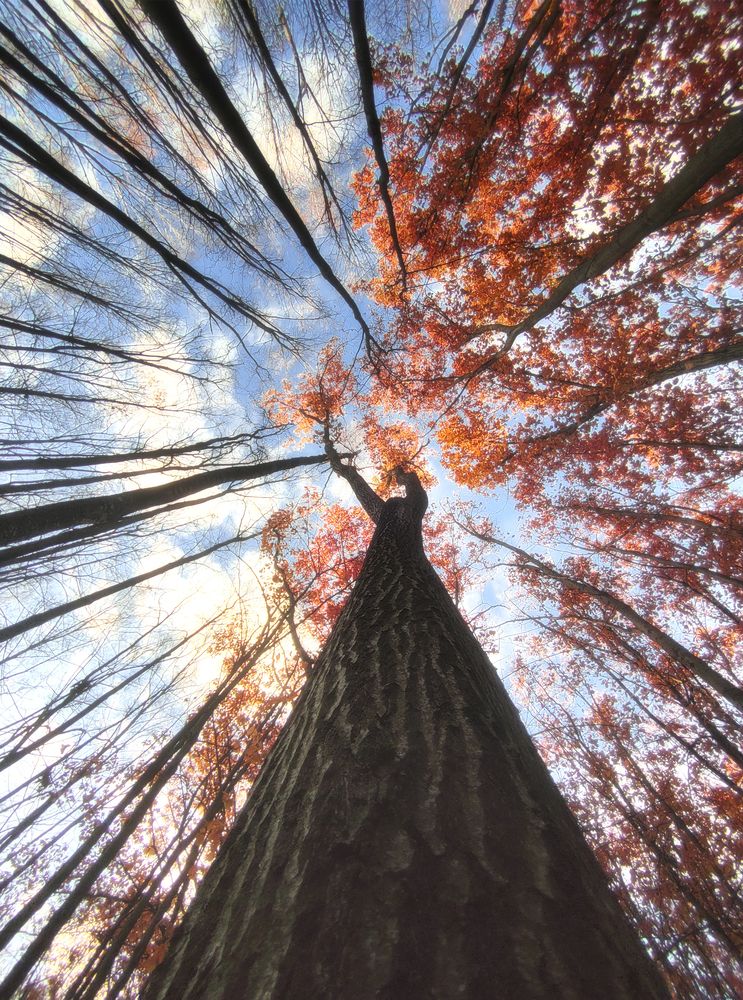 Photograph by Natalia Bolotenkova