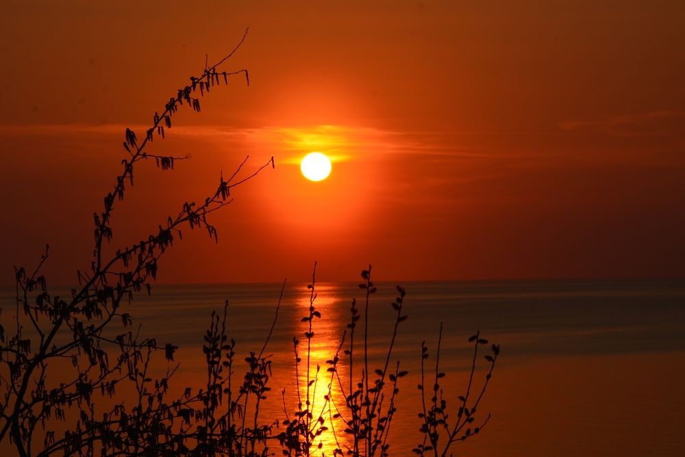 Фотография автора Юрий Рудый