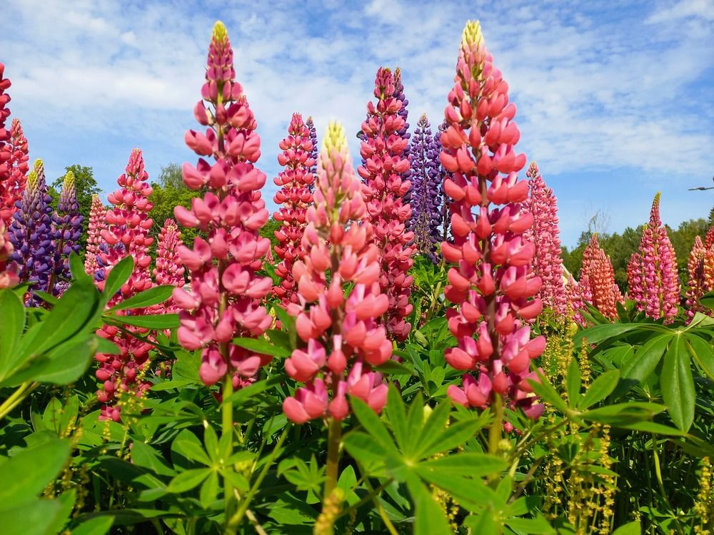 Photograph by Людмила Сотникова