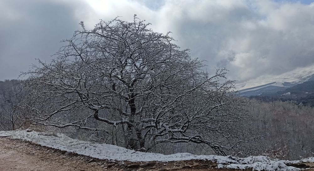 Photograph by Va Kho