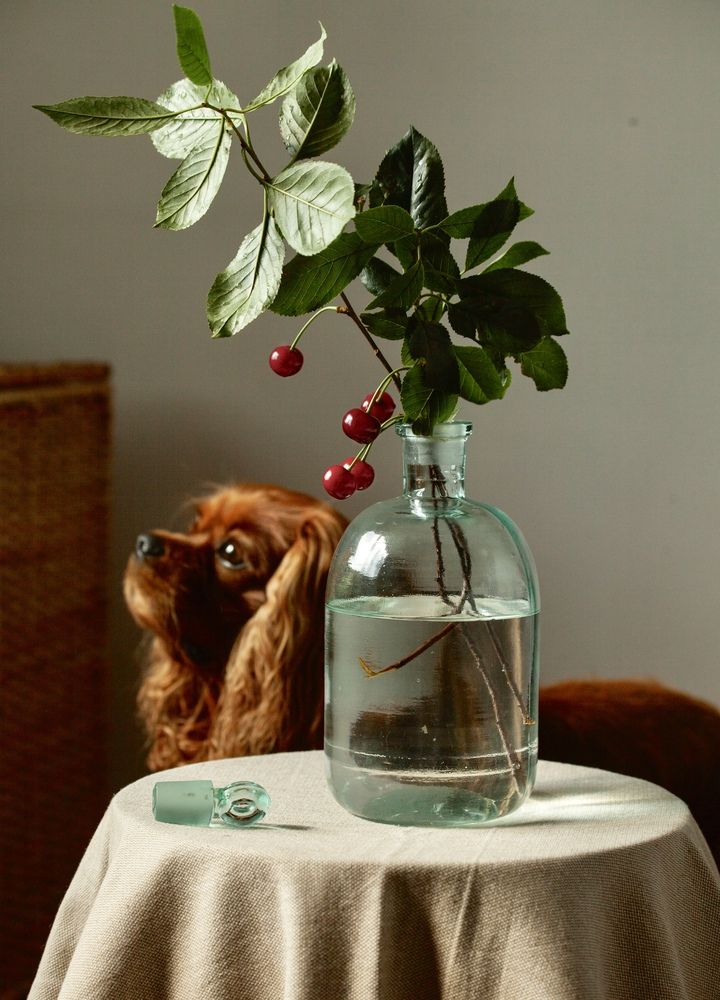 Photograph by Galina Sa