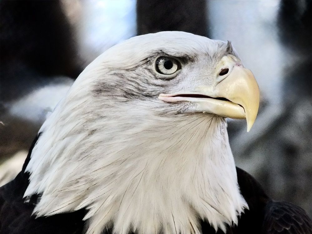 Photograph by Татьяна Шитлина