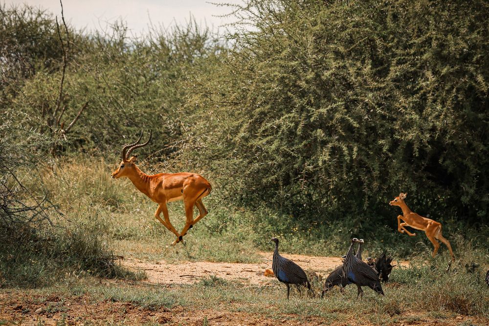 Photograph by Ольга Шайдулина