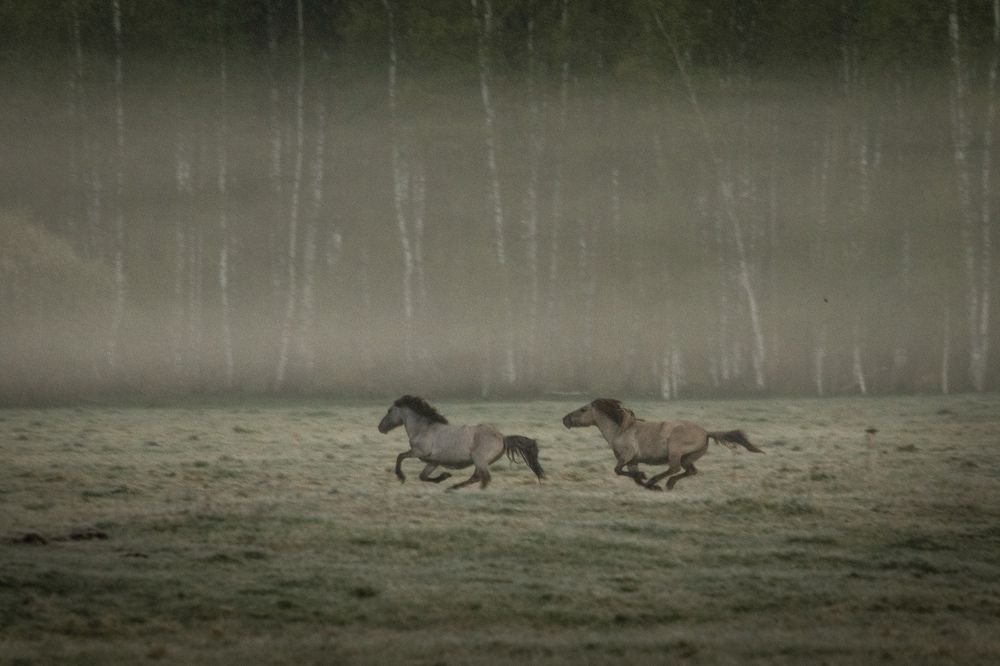 Photograph by Ольга Шайдулина