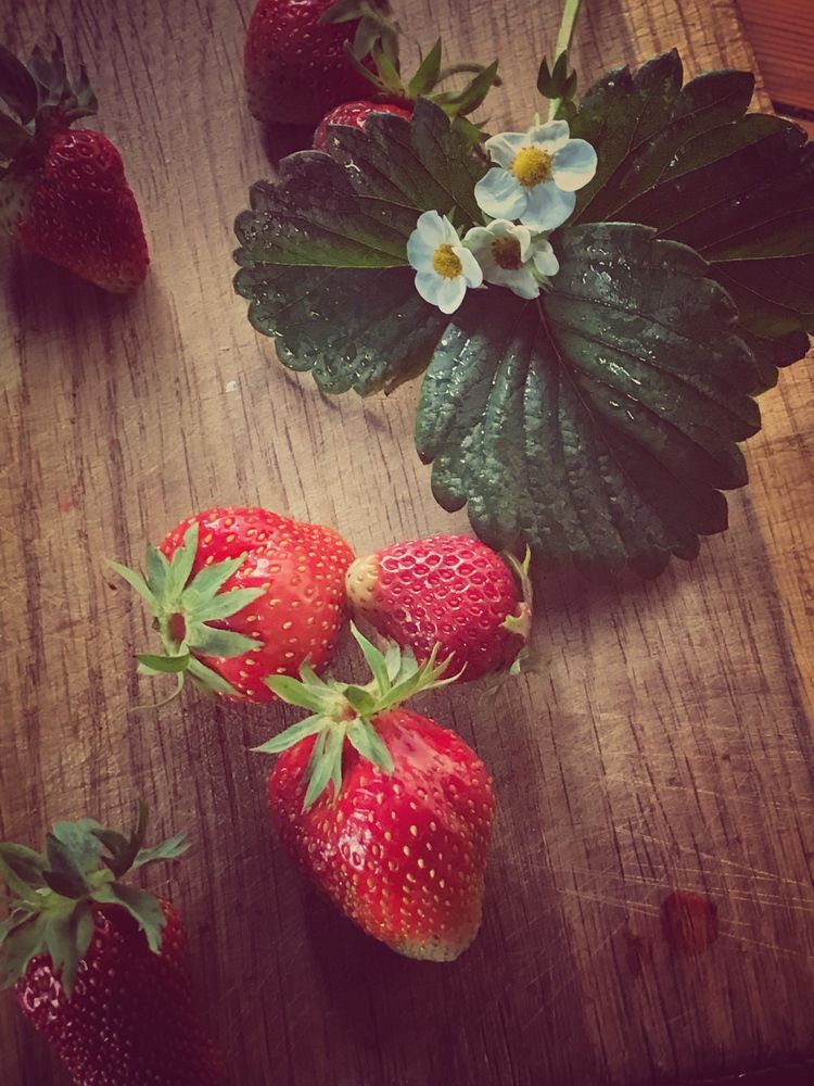 Photograph by АЛЛА ТАРАСЕНКО