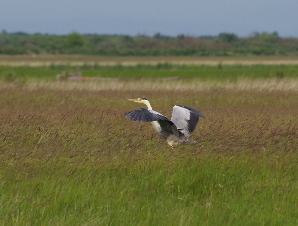 Photograph by Андрей Корытов