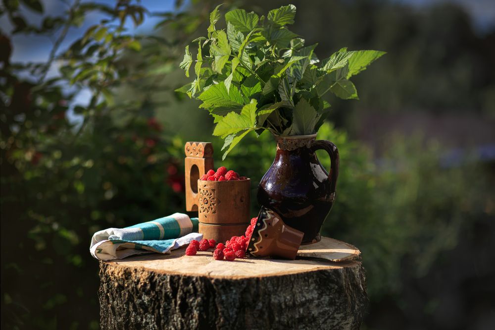 Photograph by Елена Шмырова