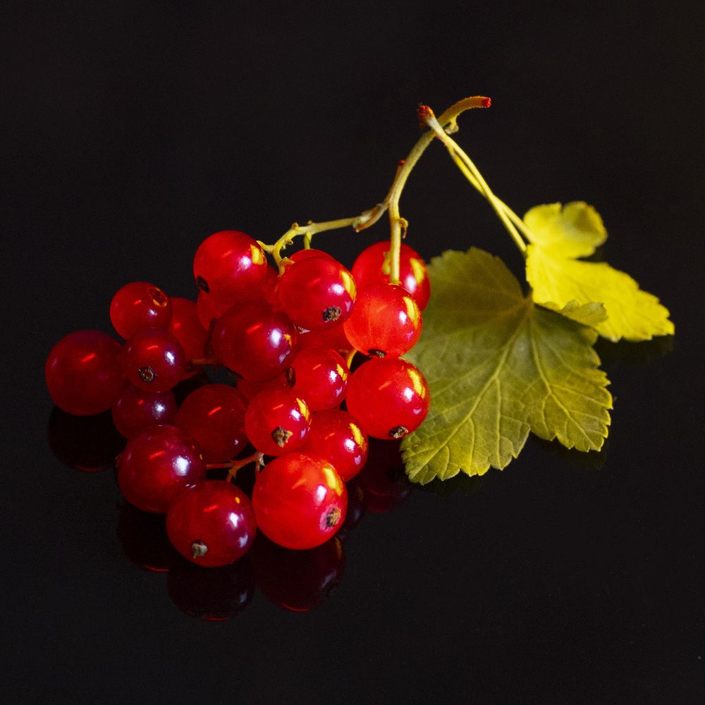 Photograph by Бася Арден