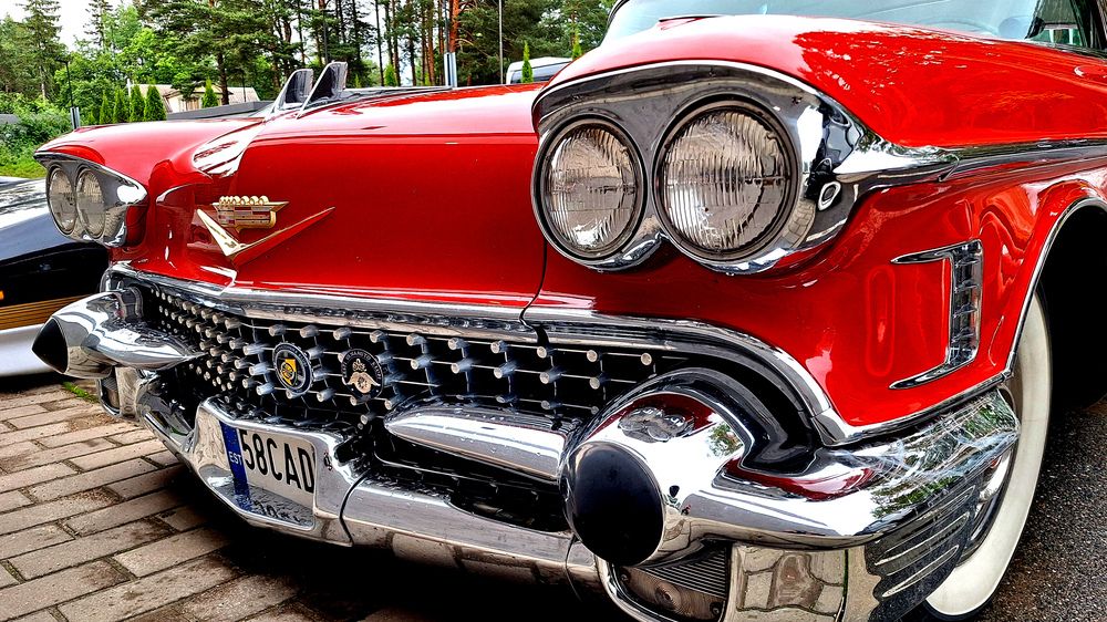 Photograph by Игорь Овсиенко