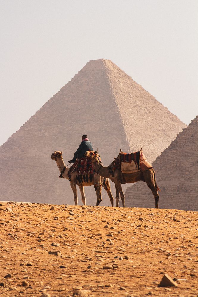 Фотография автора Денис Мартыновский