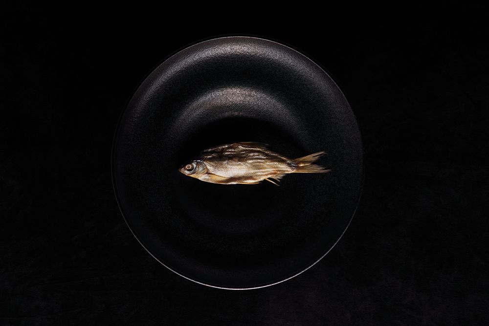 Photograph by Вячеслав Залитко