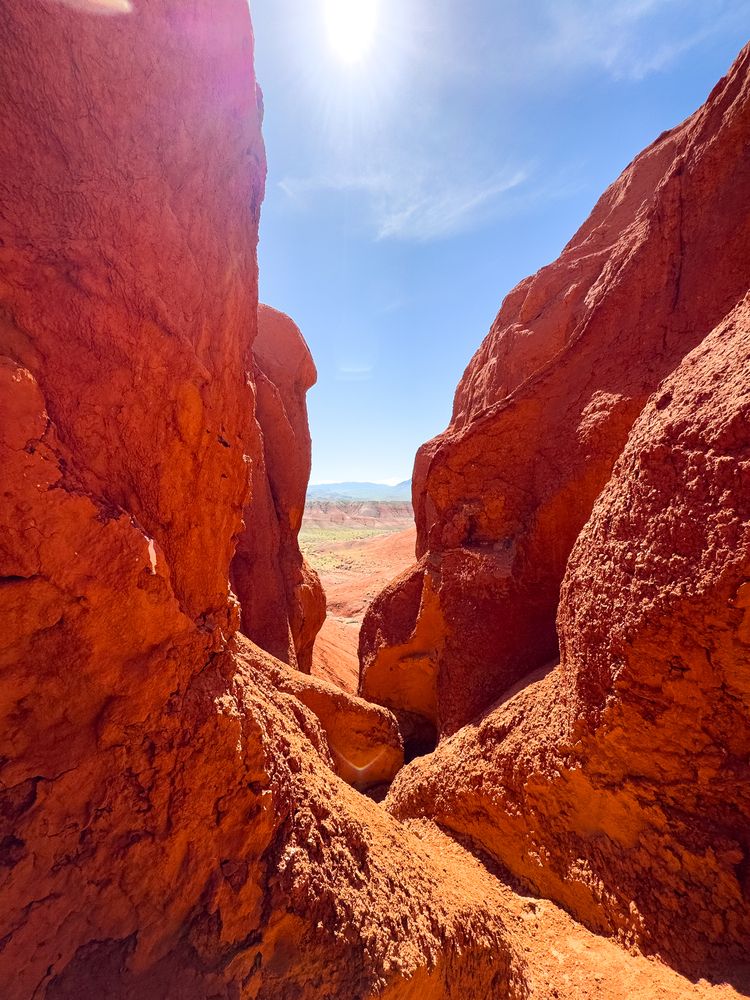 Photograph by Ольга Бибекина