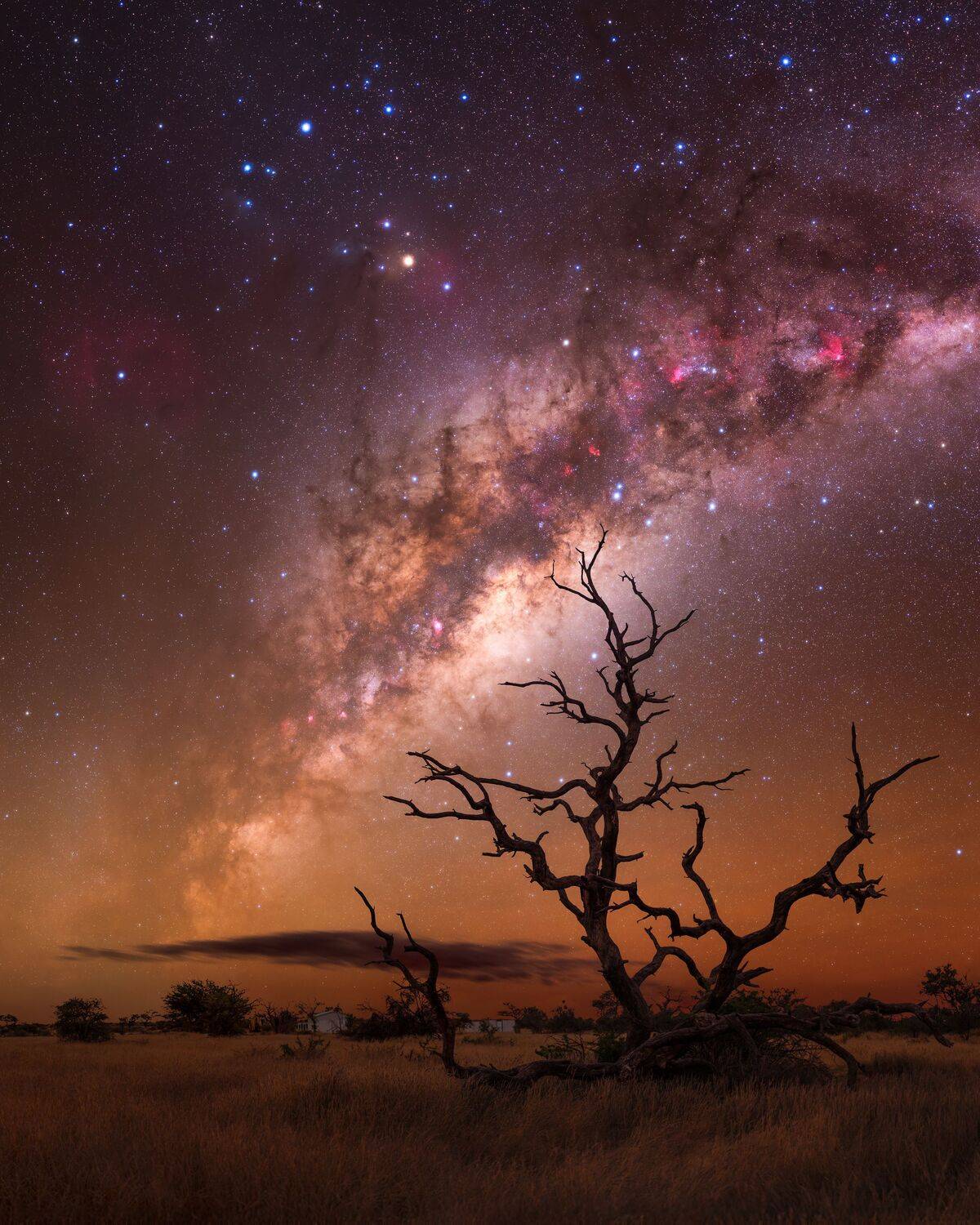 Reaching for the Stars