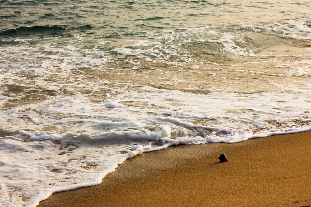 Photograph by Елена Поспелова