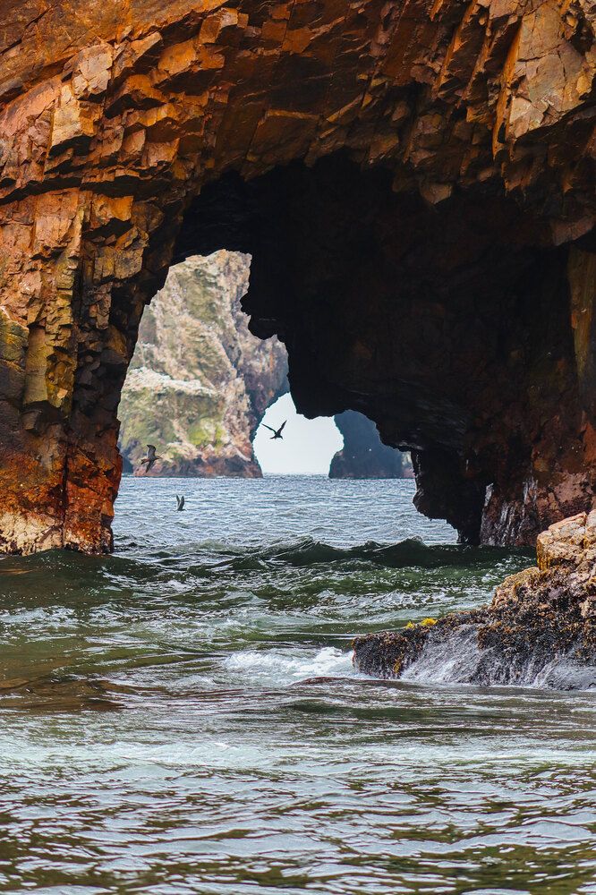 The Face into Nature