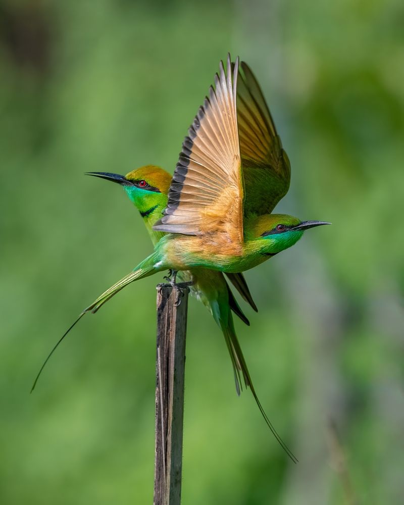 Photograph by Prabhat Ghosh