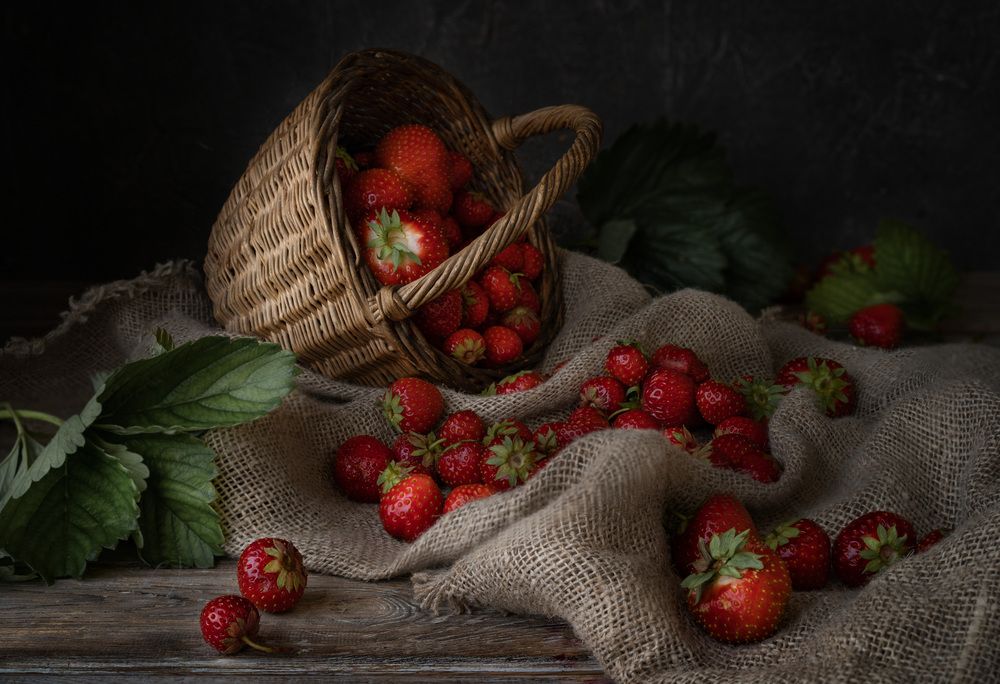 Photograph by Наталья Горохова