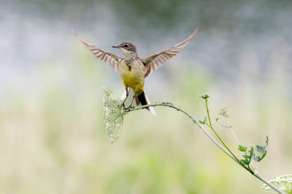 Photograph by Вера Машина