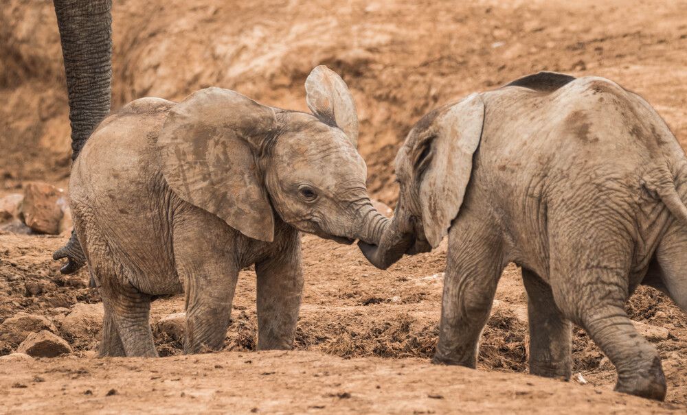 Photograph by Malinda Badenhorst