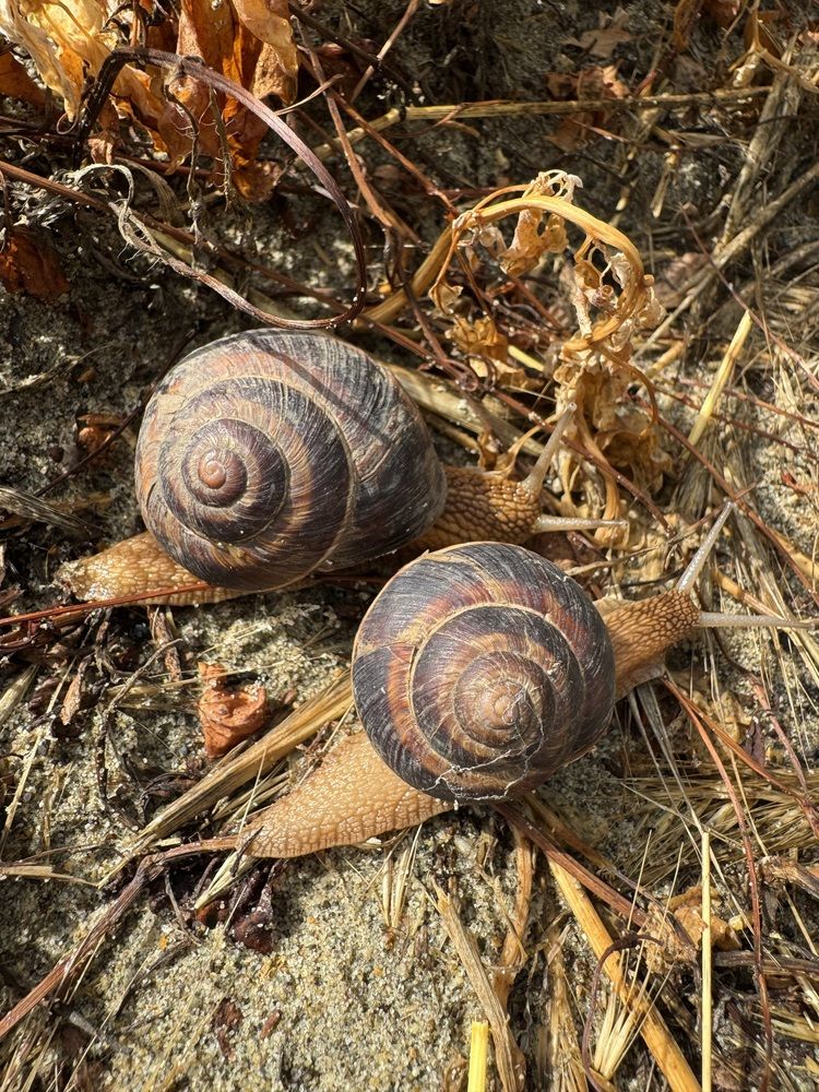 Photograph by Бойкова Наталия