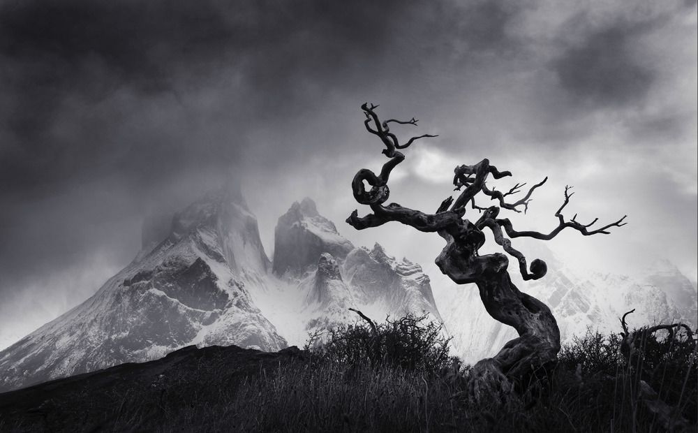 Фотография автора Eduardo Modolo