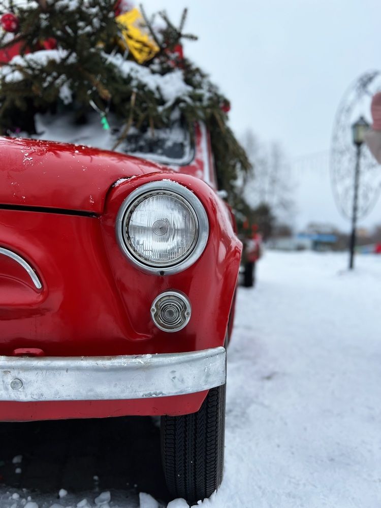 Photograph by Алина Волгина