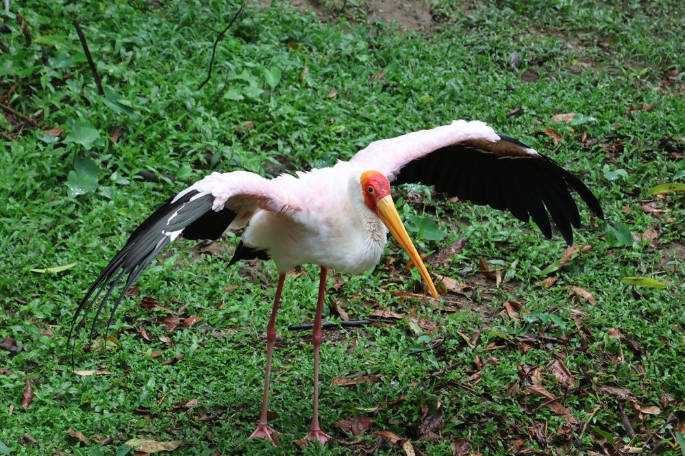 Photograph by Илья Смирнов