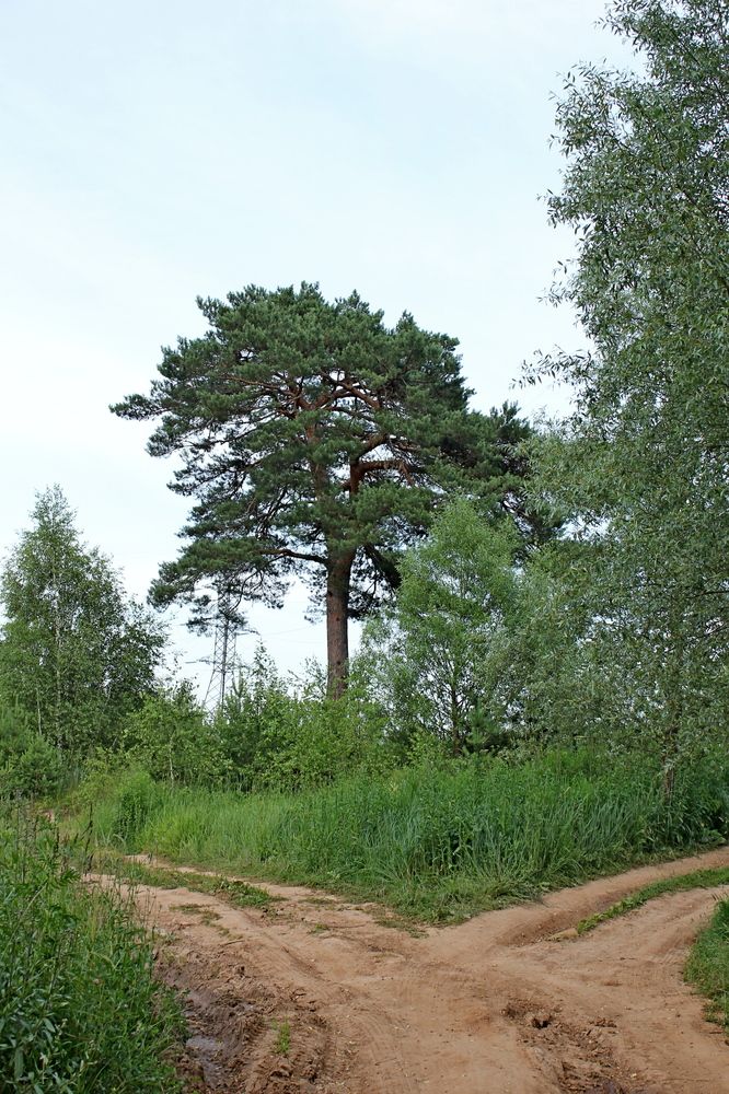 Photograph by Александр Бугаенко