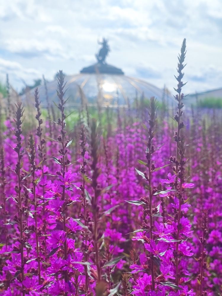 Photograph by Елена Шоколенко