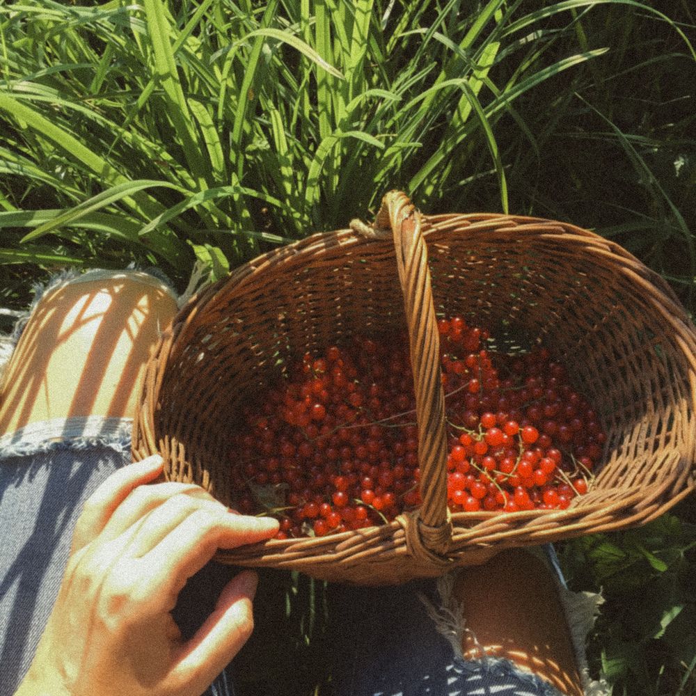 Photograph by Julia Smilovitsky