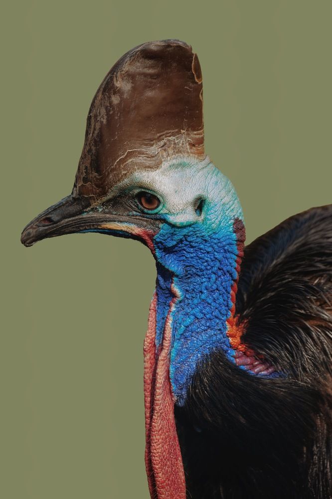 Фотография автора Galina Sa