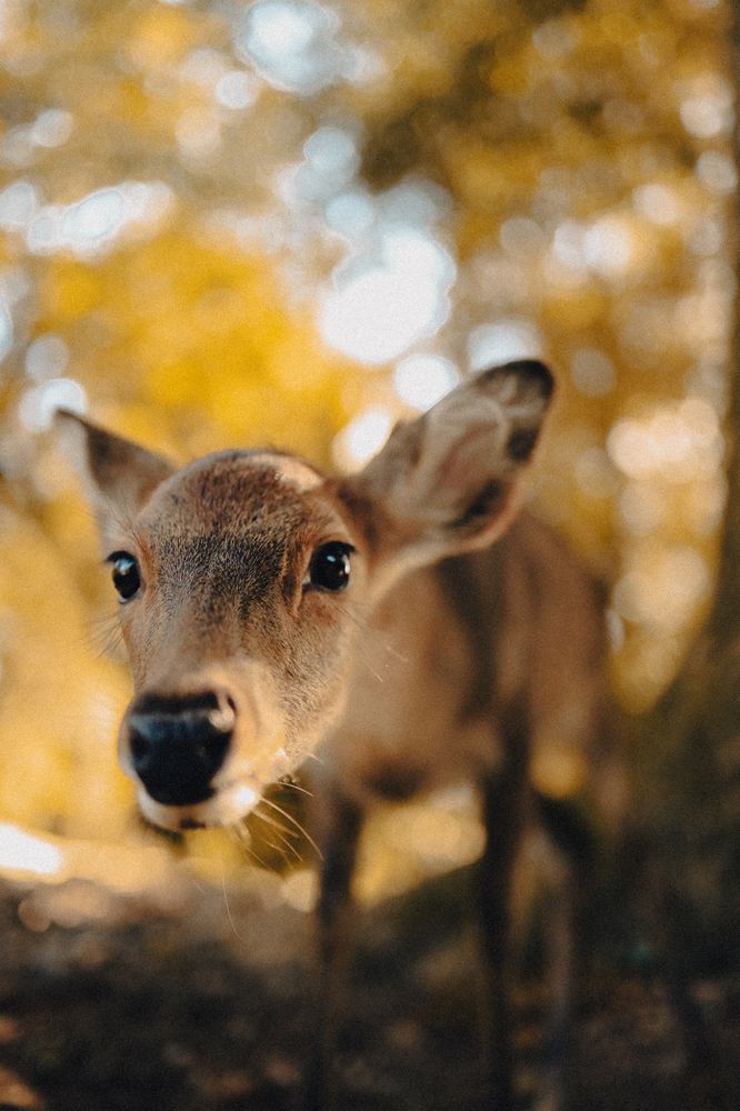 Photograph by Виктория Вагнер