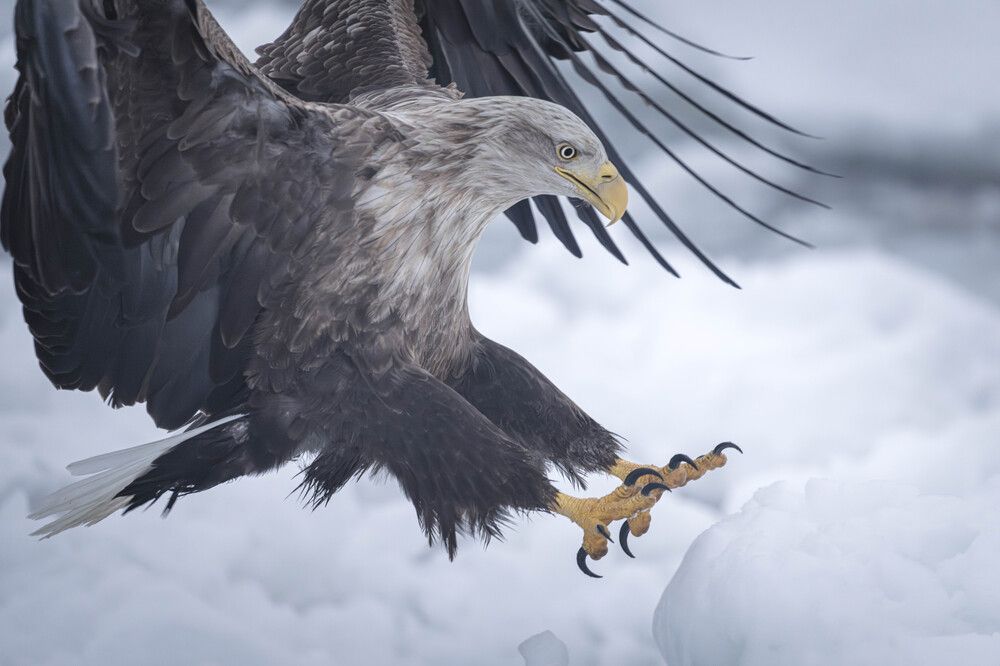 Photograph by Nagai Go